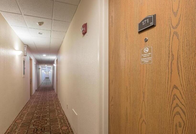 בית מלון כפרי Red Roof Inn & Suites Mt Holly  Mcguire Afb