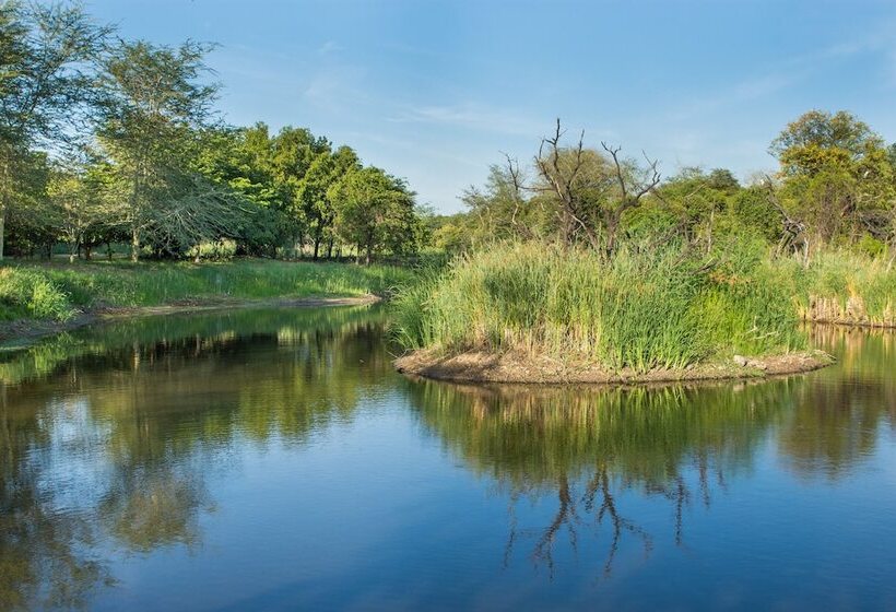 בית מלון כפרי Sefapane Lodge And Safaris