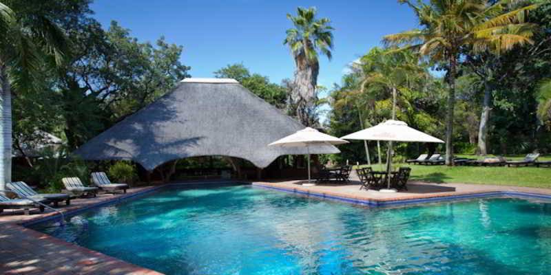 בית מלון כפרי Sefapane Lodge And Safaris