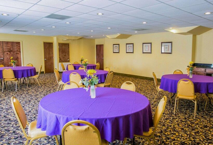 酒店 Sleep Inn & Suites Near Palmetto State Park