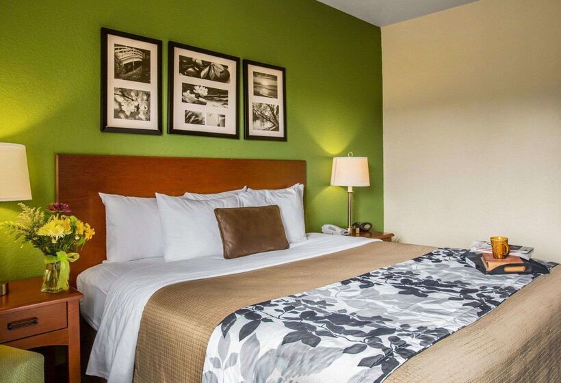Отель Sleep Inn & Suites Near Palmetto State Park