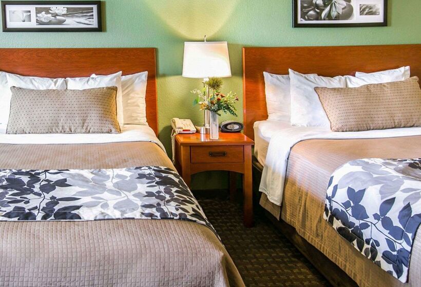 酒店 Sleep Inn & Suites Near Palmetto State Park