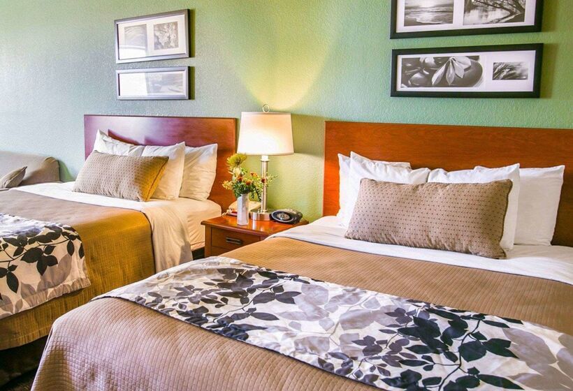 酒店 Sleep Inn & Suites Near Palmetto State Park