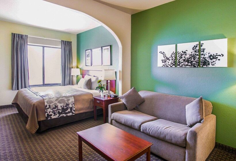 酒店 Sleep Inn & Suites Near Palmetto State Park