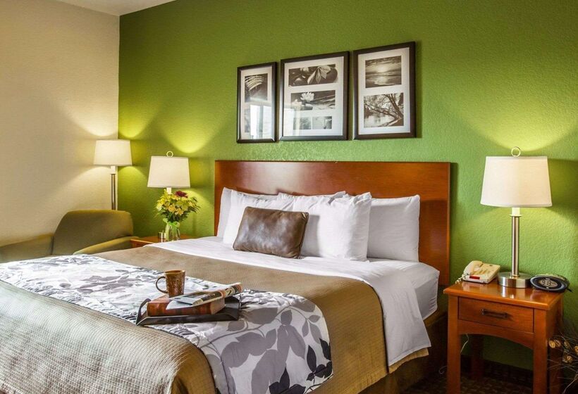 Отель Sleep Inn & Suites Near Palmetto State Park