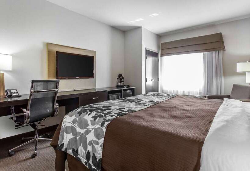 호텔 Sleep Inn And Suites Lubbock