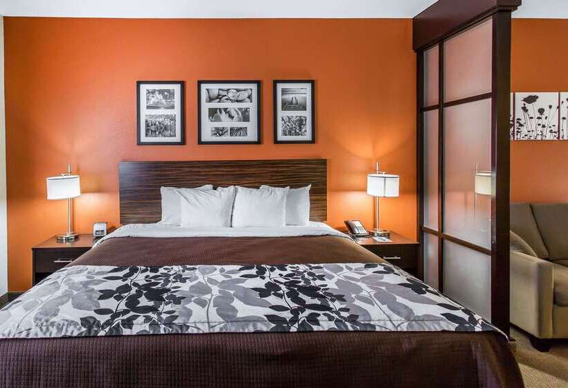 호텔 Sleep Inn And Suites Lubbock