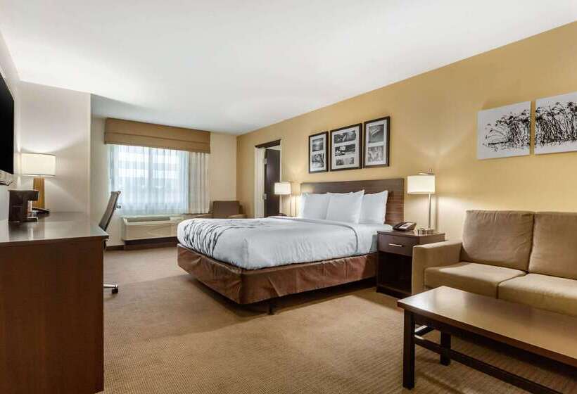 酒店 Sleep Inn & Suites Grand Forks Near Alerus Center
