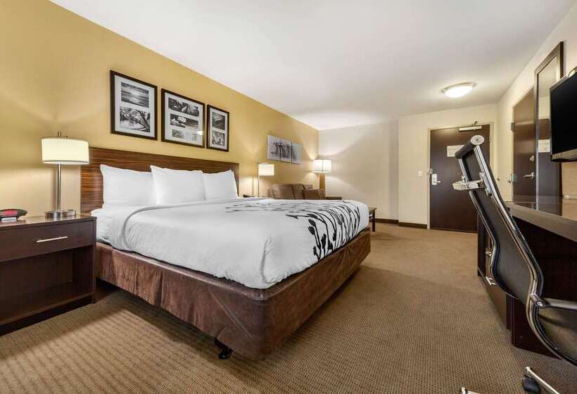酒店 Sleep Inn & Suites Grand Forks Near Alerus Center