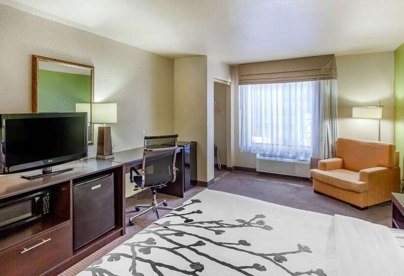 酒店 Sleep Inn & Suites Hewitt  South Waco