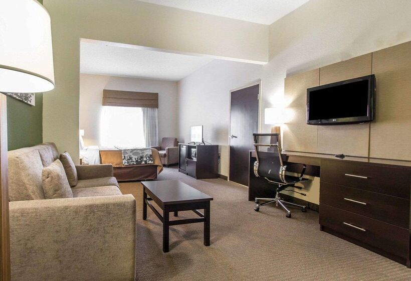 Отель Sleep Inn & Suites