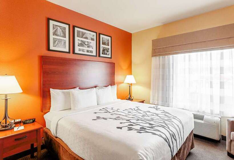 Hotel Sleep Inn & Suites Tyler South