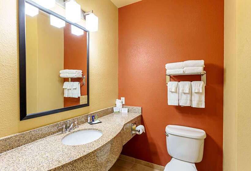 Hotel Sleep Inn & Suites Tyler South