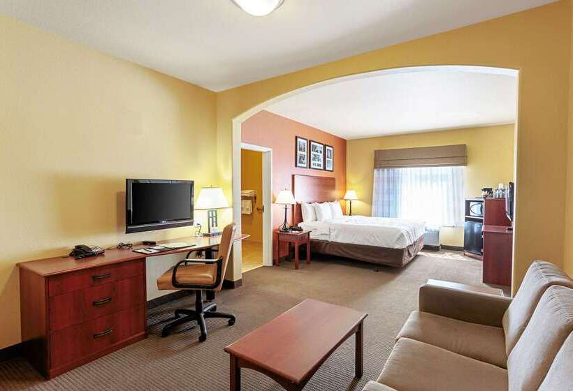 Hotel Sleep Inn & Suites Tyler South