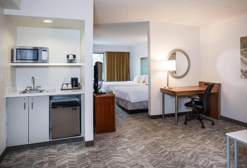 酒店 Springhill Suites Hampton
