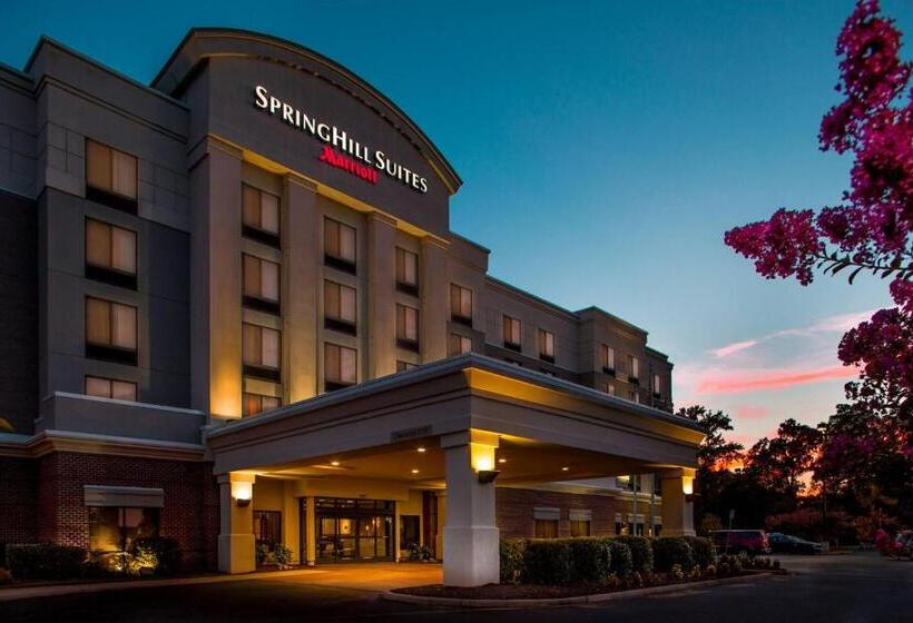 酒店 Springhill Suites Hampton