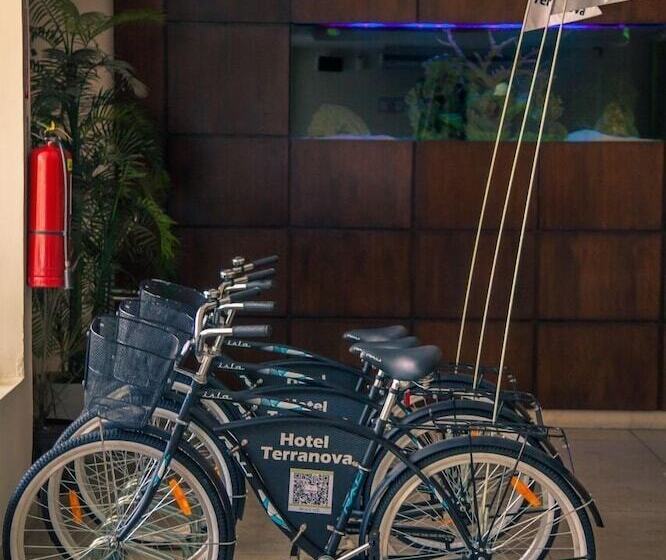 Отель Terranova