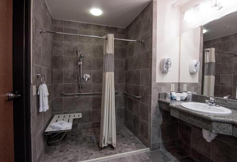 فندق The Mill Casino