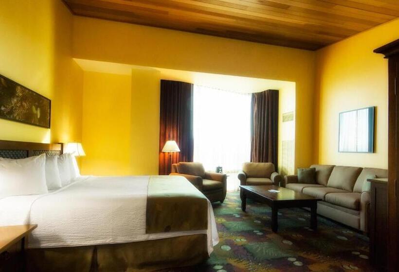 فندق The Mill Casino