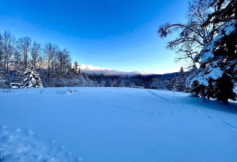 هتل The Vermont Inn