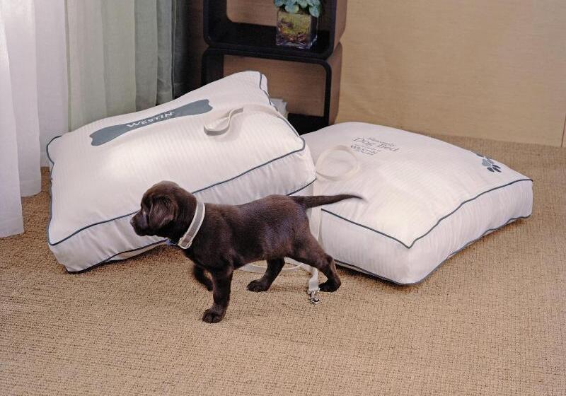 酒店 The Westin Guadalajara