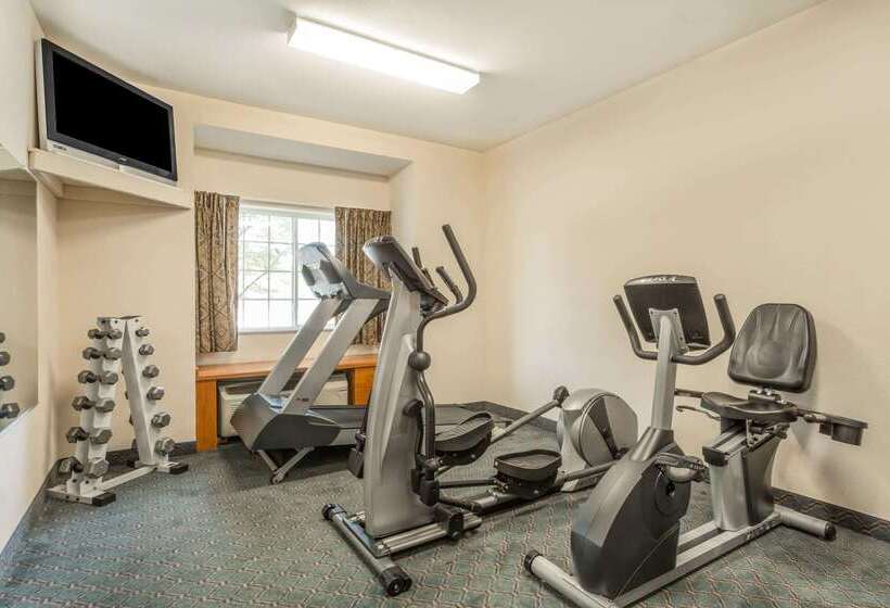 Microtel Inn & Suites By Wyndham Of Houma