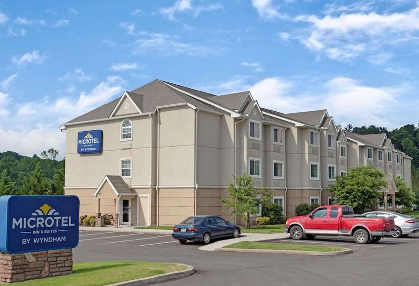 Microtel Inn & Suites By Wyndham Jasper