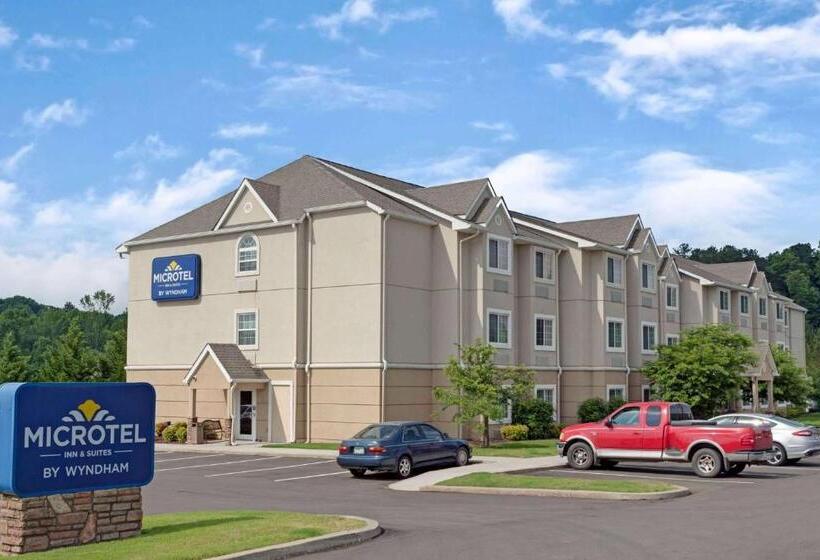 Microtel Inn & Suites By Wyndham Jasper