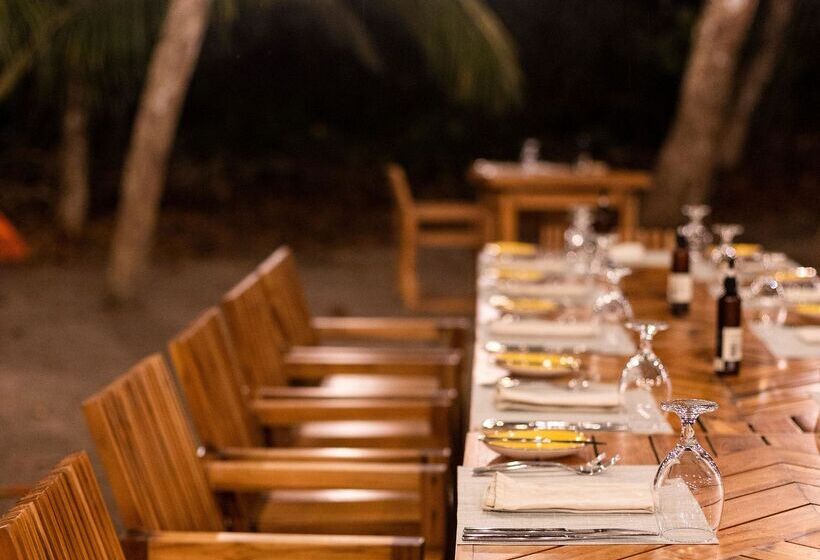 Arenas Del Mar Beachfront & Rainforest Resort Member Of The Cayuga Collection