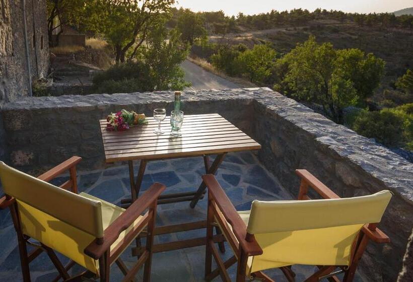 Avgonima All Seasons