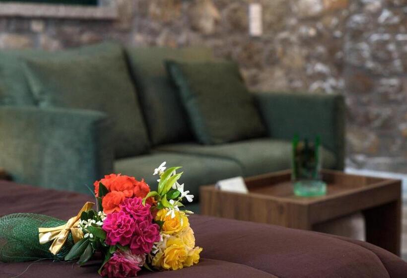 Avgonima All Seasons