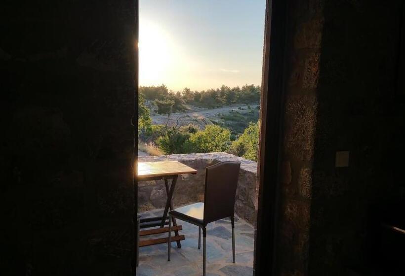 Avgonima All Seasons