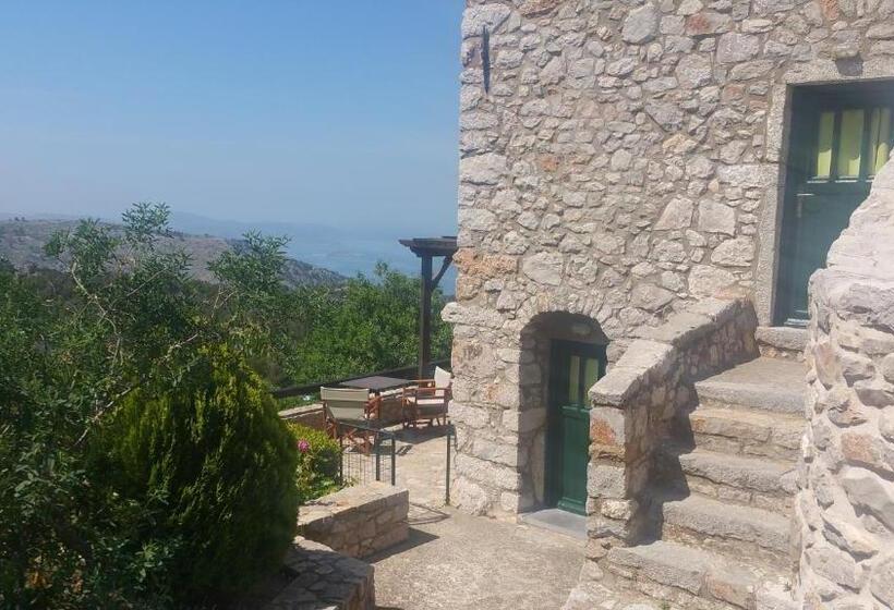 Avgonima All Seasons