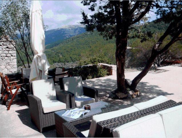 Avgonima All Seasons