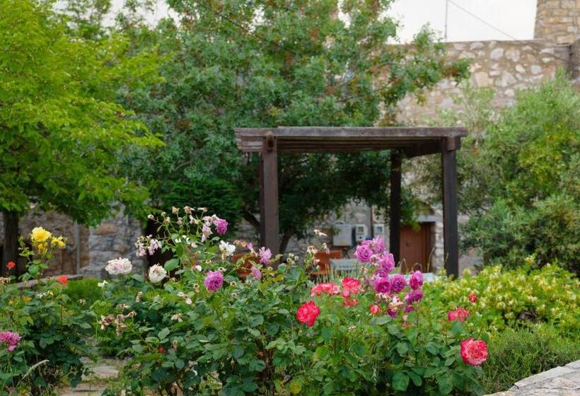 Avgonima All Seasons