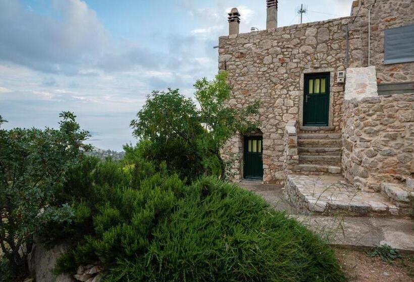 Avgonima All Seasons