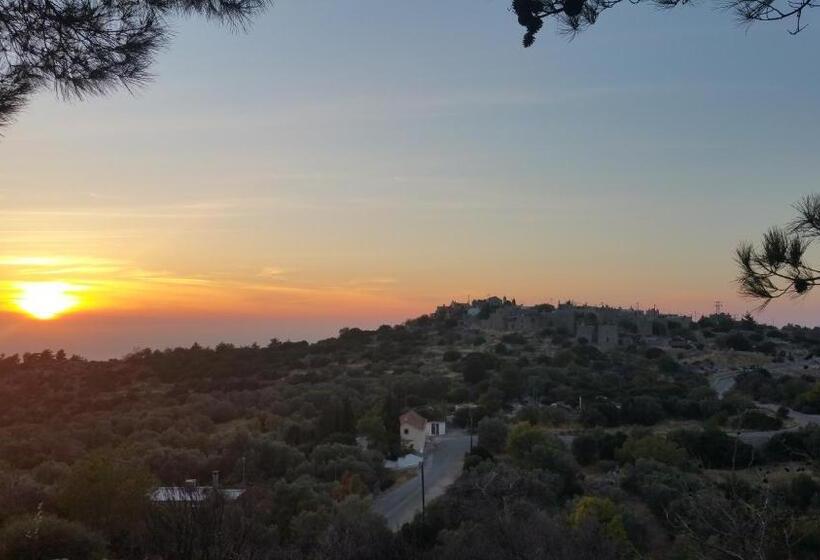 Avgonima All Seasons