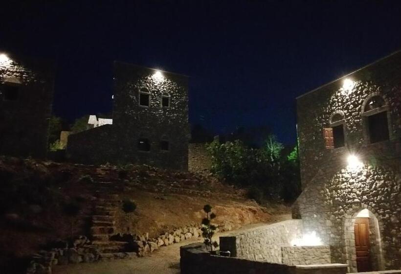 Avgonima All Seasons