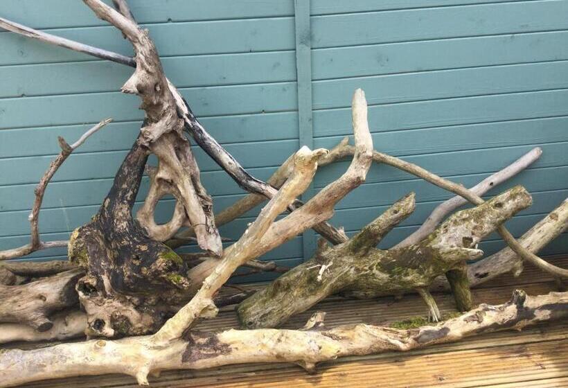 ベッドアンドブレックファースト Bythesea Guest House