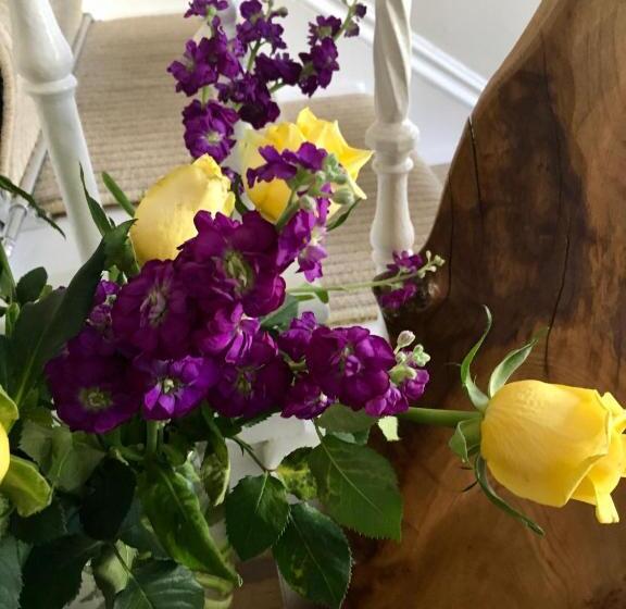 ベッドアンドブレックファースト Bythesea Guest House