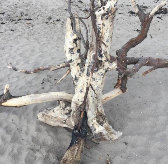 ベッドアンドブレックファースト Bythesea Guest House