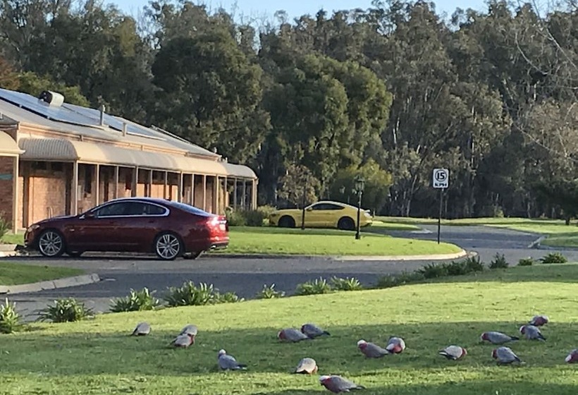 Cadell On The Murray Motel