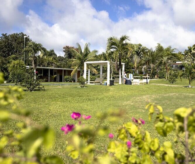 Casitas Sollevante Boutique