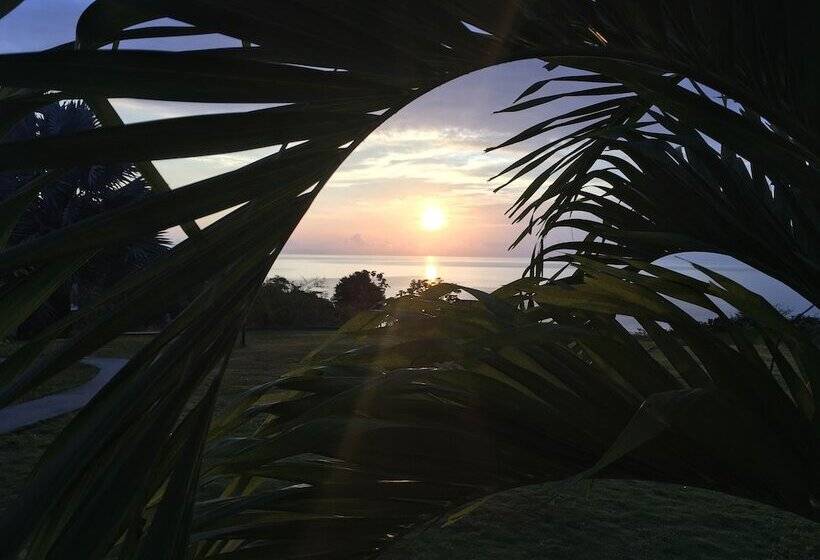 Casitas Sollevante Boutique