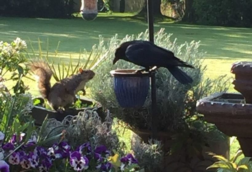 فندق Castle Farmhouse B & B