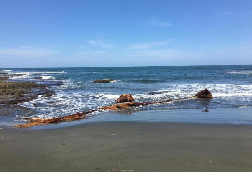 Coral Hill Bungalows