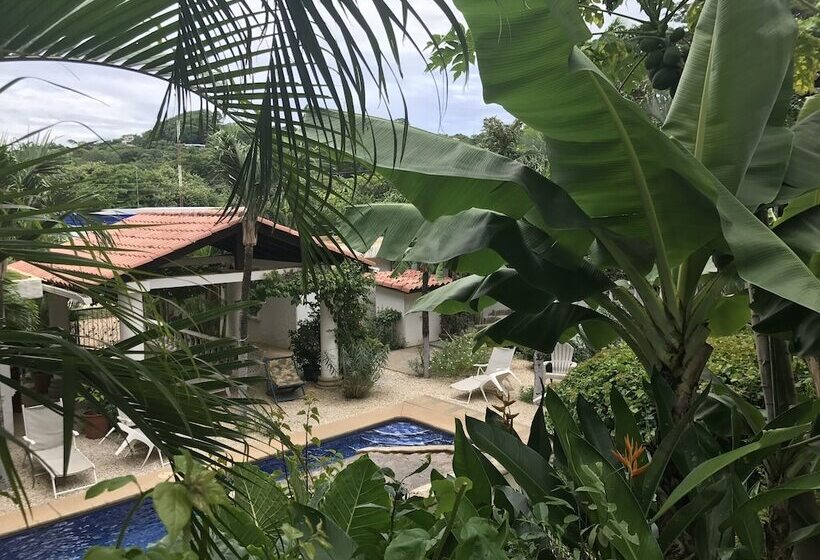 Flores   Adults Only