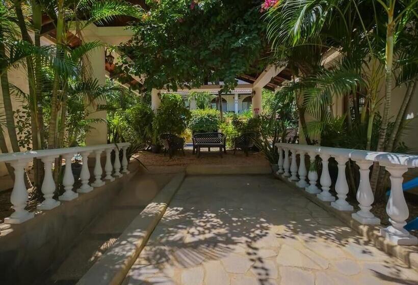 Flores   Adults Only