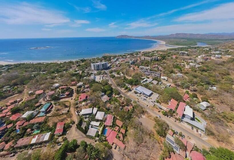 Flores   Adults Only