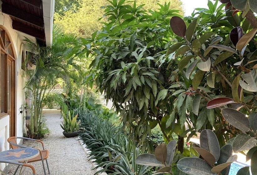 Flores   Adults Only